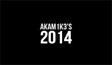 AKAM1K3'S 2014: "UKE TO"