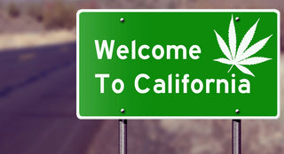 Green Rush :: What the Legalization of Weed in California Really Means