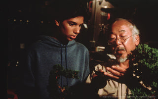 "First Learn Stand, Then Learn Fly" :: 10 Wise Mr. Miyagi Quotes to Live By