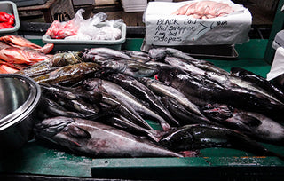 4AM Fish Harvesting at Newport Beach's Dory Fleet