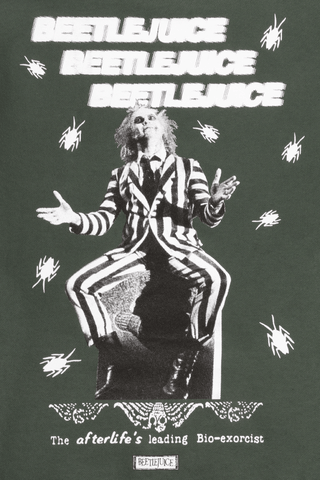 Beetlegeuse Pullover