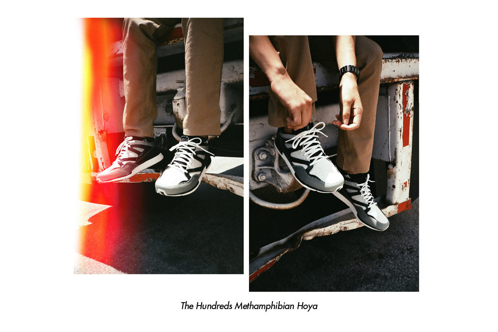 THE HUNDREDS "HOYA" BY METHAMPHIBIAN