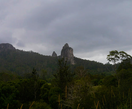 The Strange Village Of Nimbin - The Hundreds