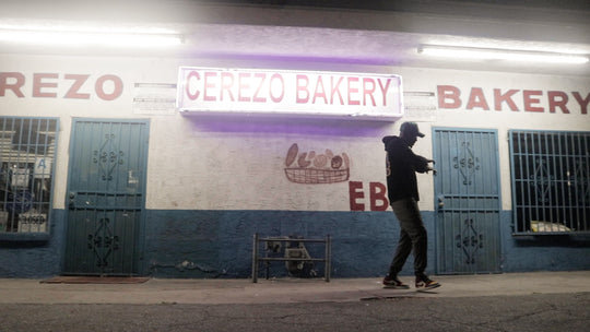 THE REINTRODUCTION :: An Interview with Bando