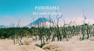 #TheHundredsPanorama :: Our Week in Photos :: 11.15.15