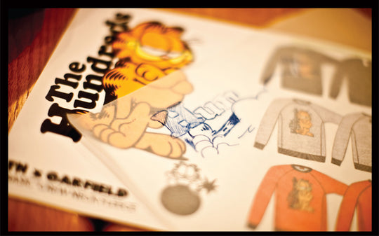 BETWEEN THE STRIPES :: A Jim Davis Interview