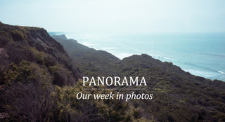 PANORAMA :: OUR WEEK IN PHOTOS :: 2.21.15