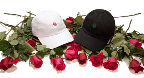 Fall 2015 