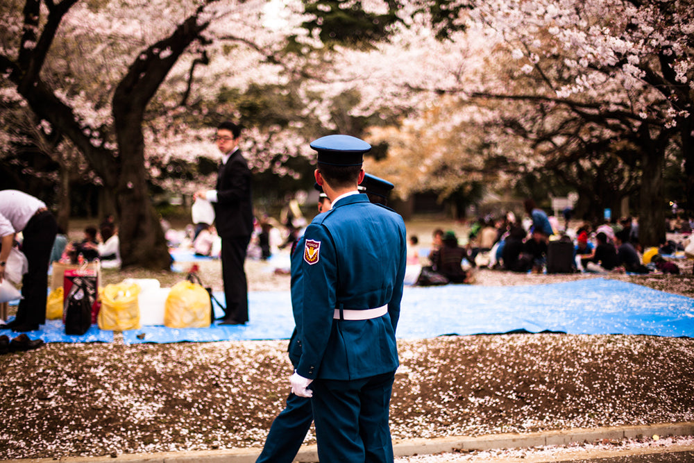 This Time Last Year in Tokyo