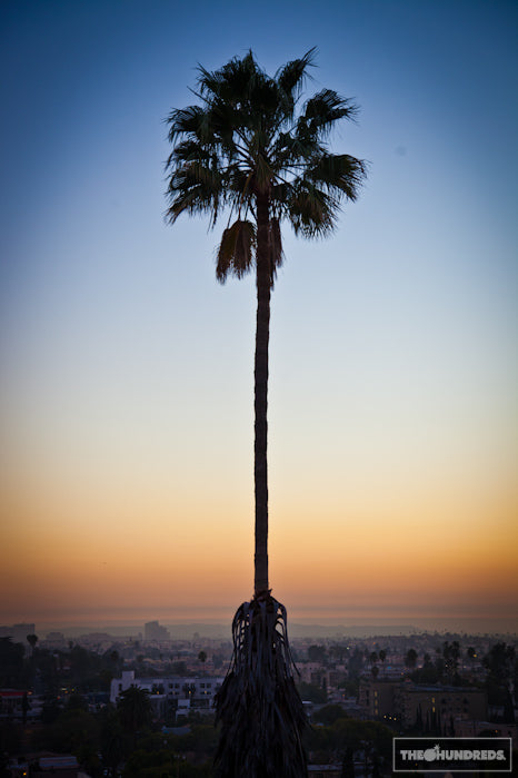 HOME ON THE ORANGE.