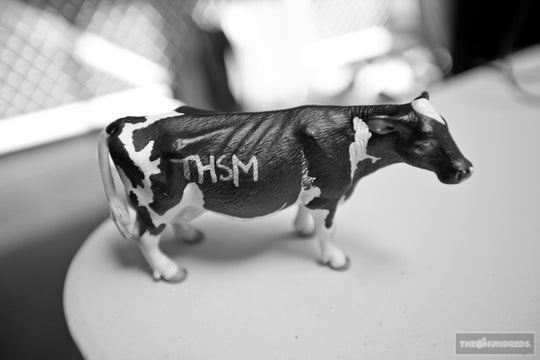 S & M