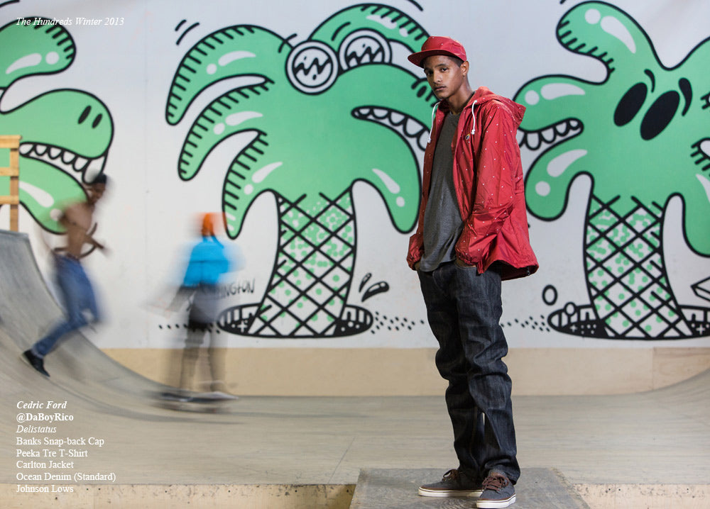 THE HUNDREDS WINTER 2013 :: DELISTATUS