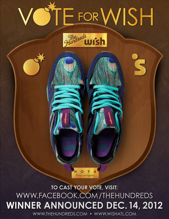 MAJOR VS. WISH "HOYA" PACK