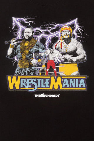 Hulk Hogan VS Mr. T Tee