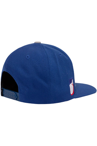 Team Snapback