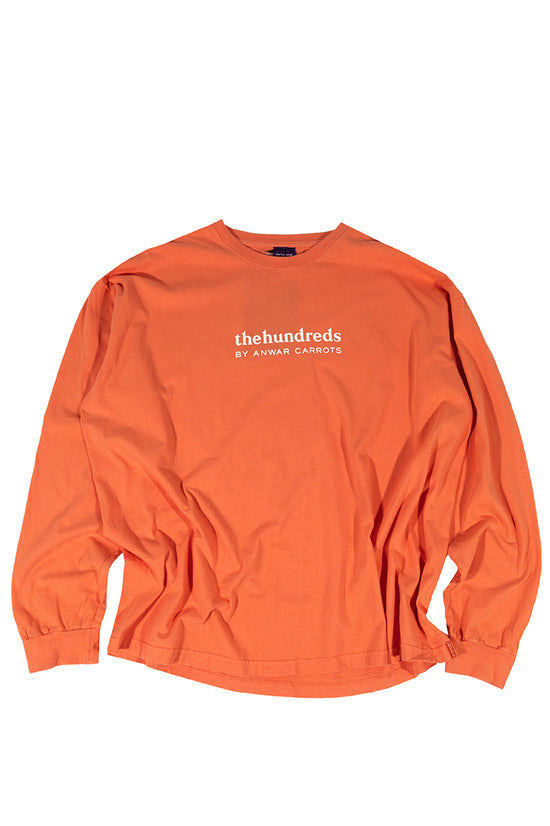 Wordmark L/S Shirt