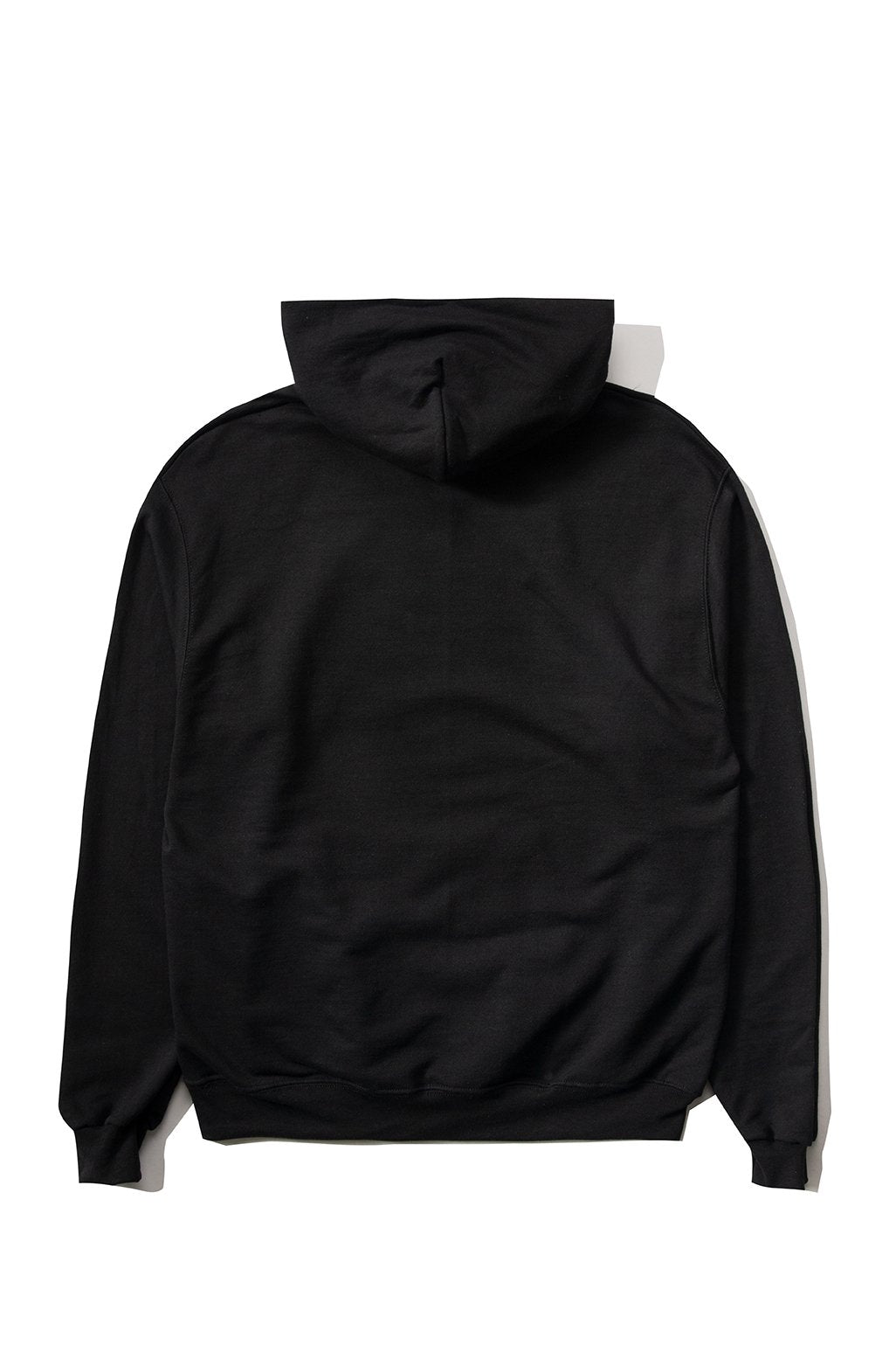 The hundreds sales champion hoodie