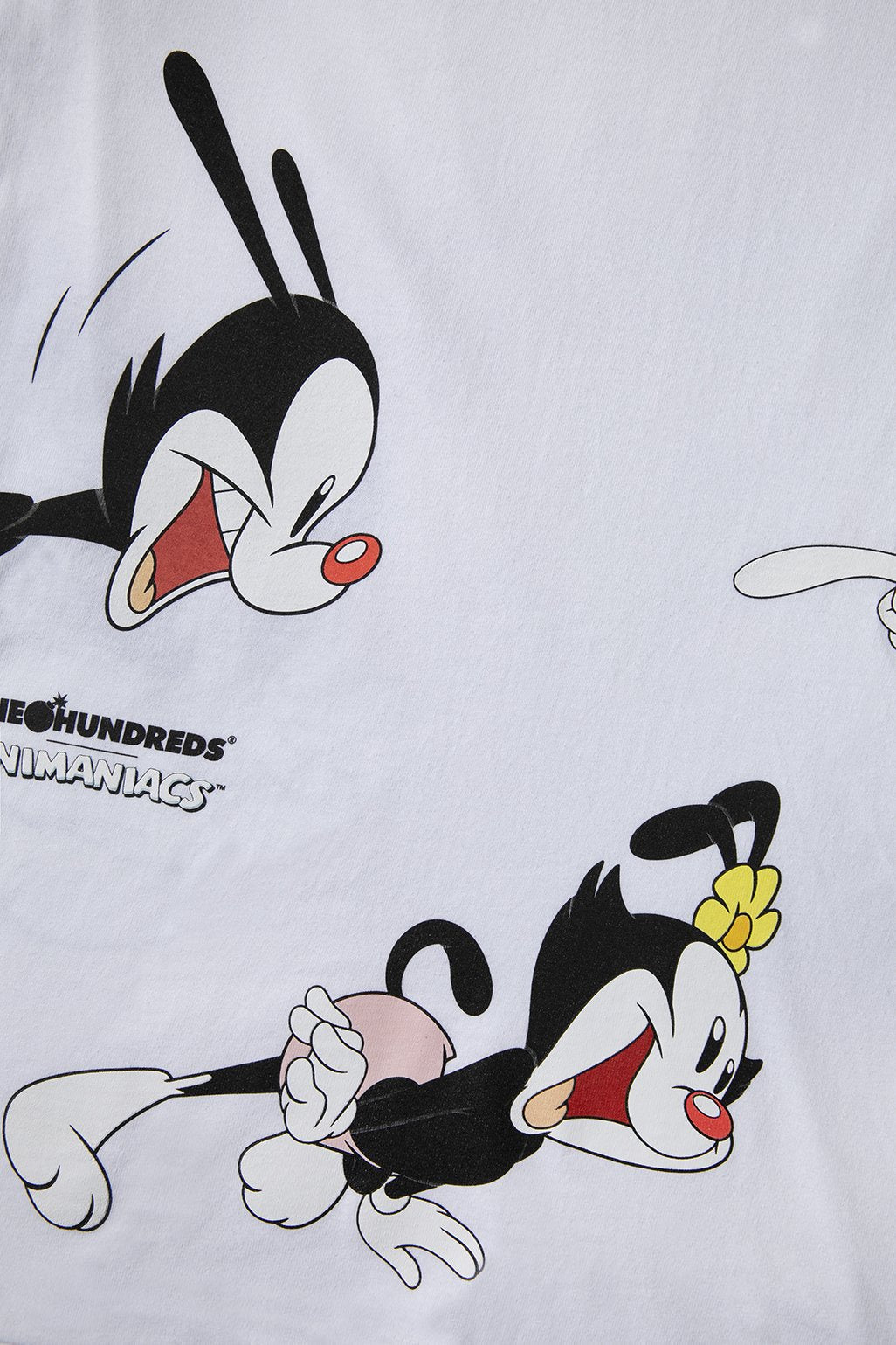 The discount hundreds animaniacs